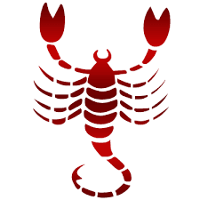 விருச்சிகம்( Scorpion)  ராசி பலன் 2020  