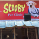 Scooby Pet Clinic Pudukkottai