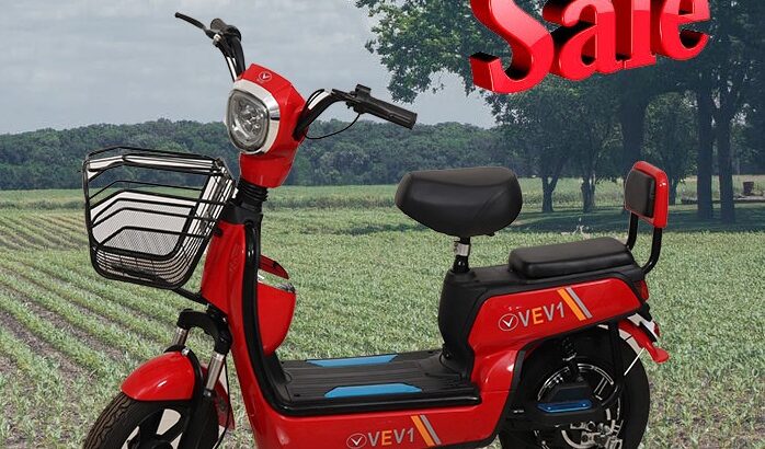Electric Scooter Manufacturers