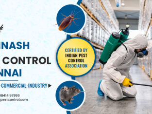 Residential & Commercial Pest Control Services in Chennai